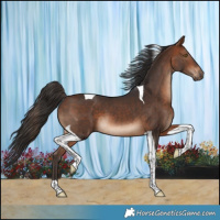Horse Color:Bay Tobiano 