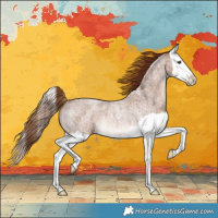 Horse Color:Red Roan Splash Rabicano 