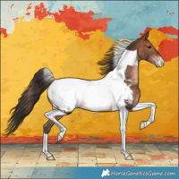 Horse Color:Brown Tobiano Snowcap 
