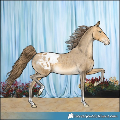 Horse Color:Sable Cream Champagne Varnish Rabicano 