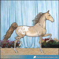 Horse Color:Sable Cream Champagne Varnish Rabicano 