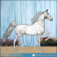 Horse Color:Gray Brown Tobiano Varnish Rabicano 