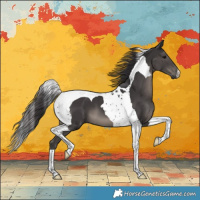 Horse Color:Smoky Black Tobiano 
