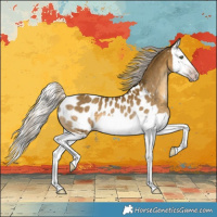 Horse Color:Gray Silver Classic Cream Champagne Splash Appaloosa Rabicano