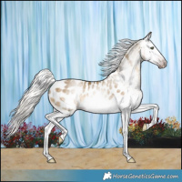 Horse Color:Gray Silver Classic Cream Champagne Splash Appaloosa Rabicano 