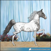 Horse Color:Blue Roan Tobiano Blanket 