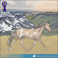 Horse Color:White Spotted Cremello 