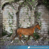 Horse Color:Chocolate Palomino Rabicano