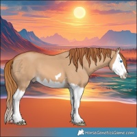 Horse Color:Red Dun Splash 