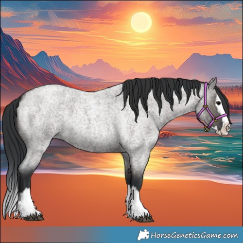 Horse Color:Grullo Roan Splash 
