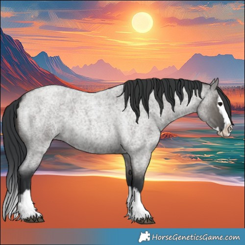 Horse Color:Grullo Roan Splash 