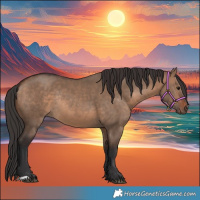 Horse Color:Brown Dun Rabicano 