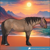 Horse Color:Brown Dun Rabicano