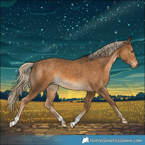 Horse Color:Chocolate Palomino