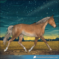 Horse Color:Chocolate Palomino 