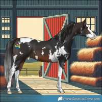 Horse Color:White Spotted Brown Splash Tobiano 
