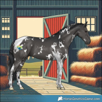 Horse Color:White Spotted Black Tobiano 