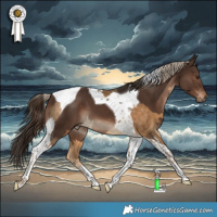 Horse Color:Chocolate Palomino Tobiano Rabicano and Liver Chestnut Tobiano