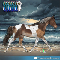 Horse Color:Chocolate Palomino Tobiano Rabicano and Liver Chestnut Tobiano