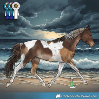 Horse Color:Chocolate Palomino Tobiano Rabicano and Liver Chestnut Tobiano