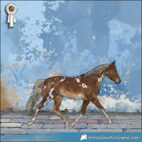 Horse Color:White Spotted Chocolate Palomino Tobiano 