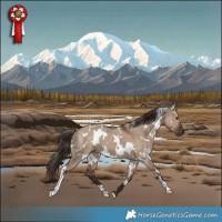 Horse Color:White Spotted Liver Red Dun 