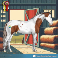 Horse Color:Chestnut Splash Tobiano 