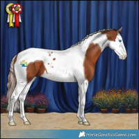 Horse Color:Chestnut Splash Tobiano