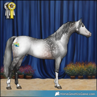 Horse Color:Gray White Spotted Brown Tobiano 