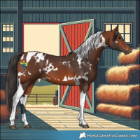 Horse Color:White Spotted Bay Tobiano 