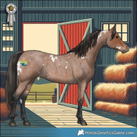Horse Color:White Spotted Bay Roan 