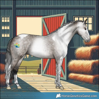 Horse Color:Gray Brown Dun Splash Tobiano 