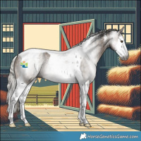 Horse Color:Powder White Gray Silver Brown Dun Splash Tobiano Brindle 