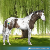 Horse Color:Powder White Gray Silver Brown Dun Splash Tobiano Brindle 