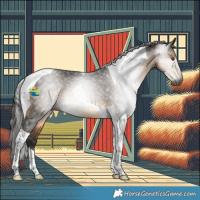 Horse Color:Gray Buckskin Tobiano 
