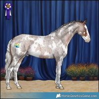 Horse Color:White Spotted Silver Brown Roan Splash 