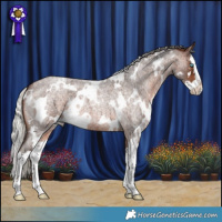 Horse Color:White Spotted Silver Brown Roan Splash 