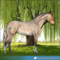Horse Color:Gray Silver Buckskin Roan Tobiano