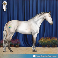 Horse Color:Gray Silver Buckskin Roan Tobiano 