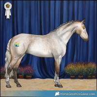 Horse Color:Gray Silver Buckskin Roan Tobiano