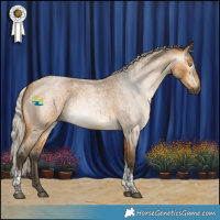 Horse Color:Gray Silver Buckskin Roan Tobiano 