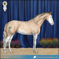 Horse Color:Palomino Roan Splash 