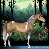 Horse Color:Buckskin Dun Tobiano Appaloosa 