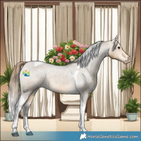 Horse Color:Buckskin Dun Tobiano Varnish