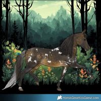 Horse Color:White Spotted Buckskin 