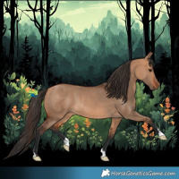 Horse Color:Bay Dun Rabicano 
