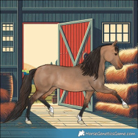 Horse Color:Bay Dun Rabicano 