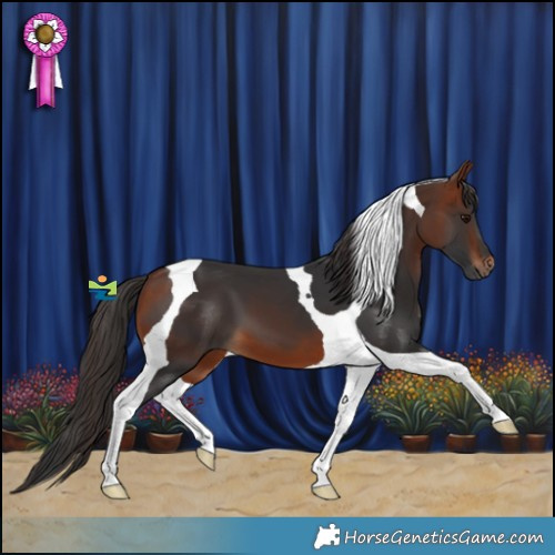 Horse Color:Bay Tobiano 