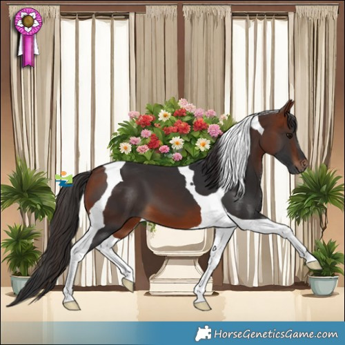 Horse Color:Bay Tobiano 