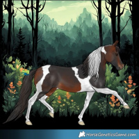 Horse Color:Bay Tobiano